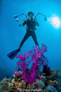 Soft Coral and Photographer by John Parker 